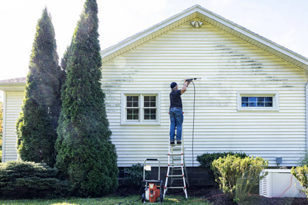 Best Sign and Awning Cleaning  in Babbitt, MN